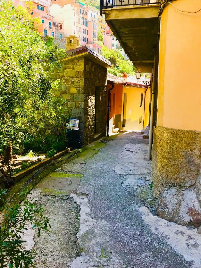 La Chiocciola Villa Manarola Bagian luar foto